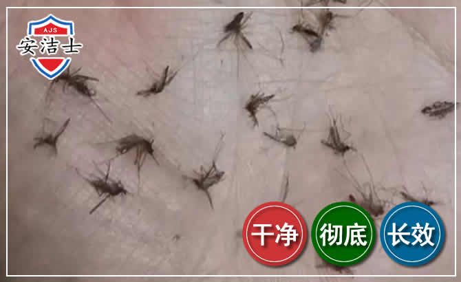 诸暨蚊子防治-灭蚊