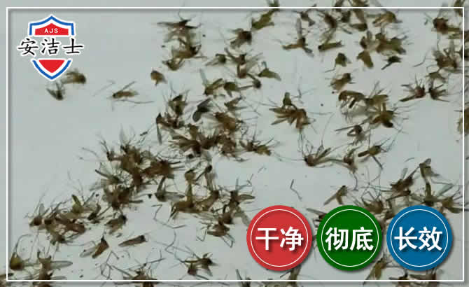 诸暨苍蝇防治-灭蝇