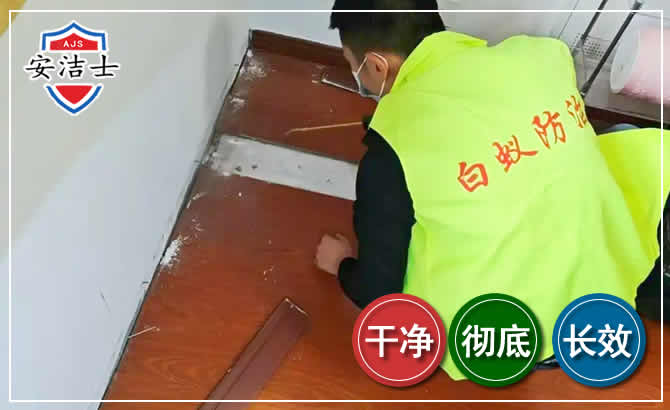 诸暨除四害现场