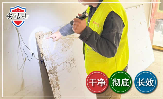 诸暨除白蚁现场