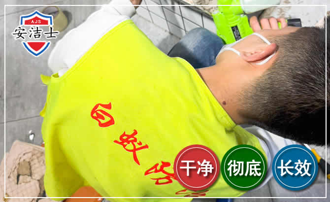 诸暨白蚁根治现场